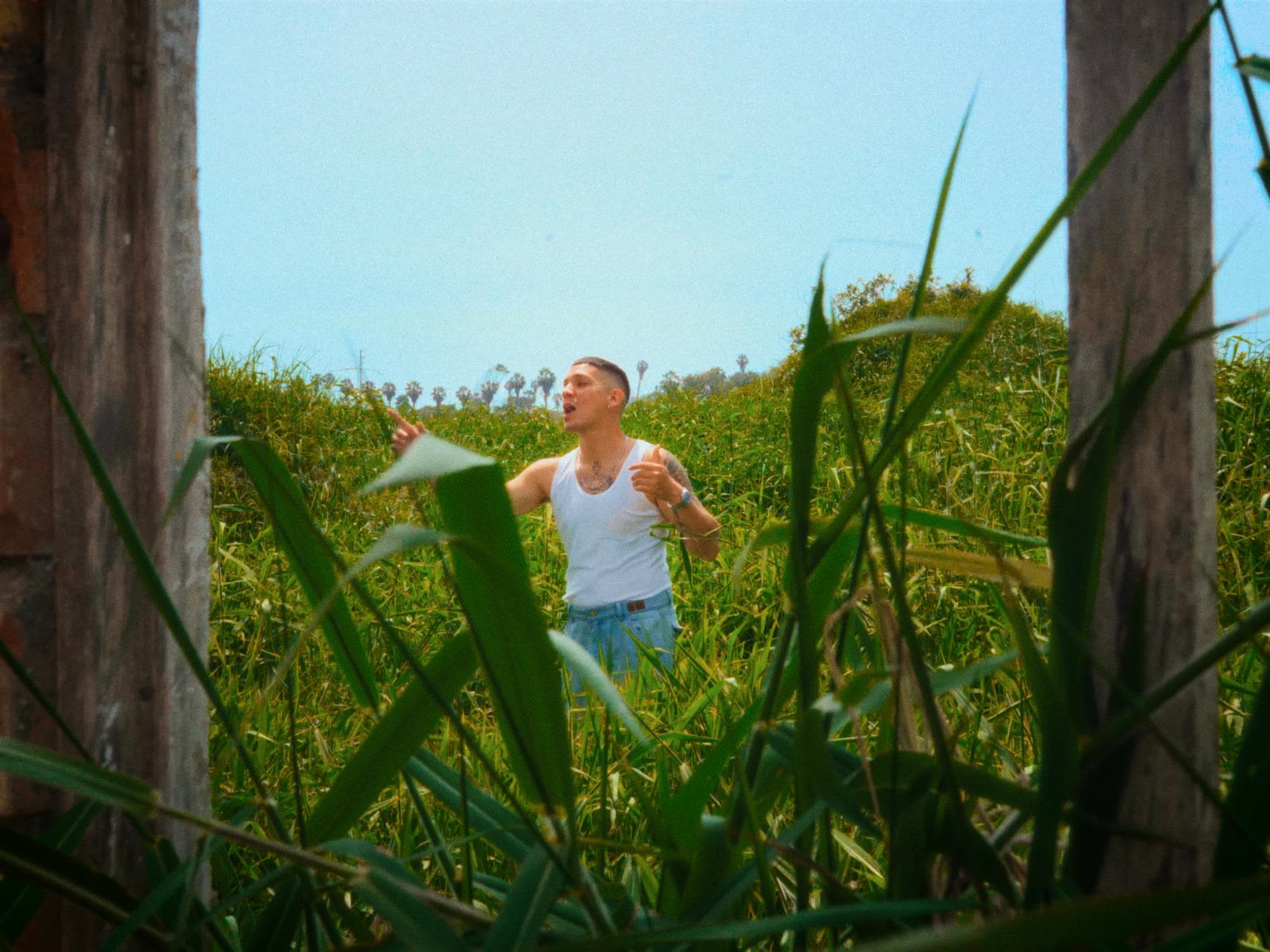 Mvldita — Videoclip